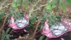നിയന്ത്രണം വിട്ട കാർ താഴ്ചയിലേക്ക് മറിഞ്ഞ് അപകടം; വീട്ടമ്മയും കൊച്ചുമകളും മരിച്ചു