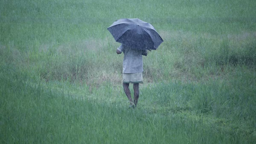 Kerala Rain Alert: സംസ്ഥാനത്ത് ഇന്നും ശക്തമായ മഴയ്ക്ക് സാധ്യത; ജാഗ്രത! 2 ജില്ലകളിൽ ഓറഞ്ച് അലർട്ട് Kerala Rain Alert: സംസ്ഥാനത്ത് ഇന്നും ശക്തമായ മഴയ്ക്ക് സാധ്യത; ജാഗ്രത! 2 ജില്ലകളിൽ ഓറഞ്ച് അലർട്ട്