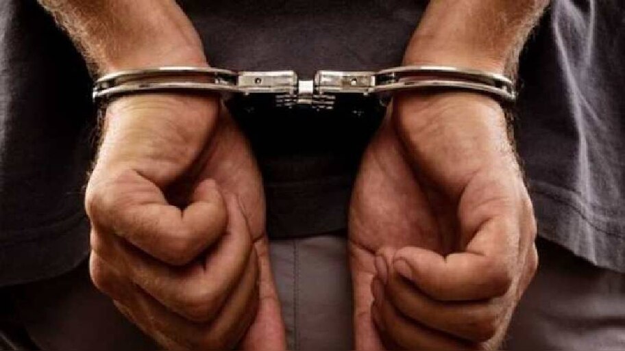 Crime News: 76കാരിയെ തലയ്ക്കടിച്ച് കൊലപ്പെടുത്താൻ ശ്രമം; മകൻ അറസ്റ്റിൽ
