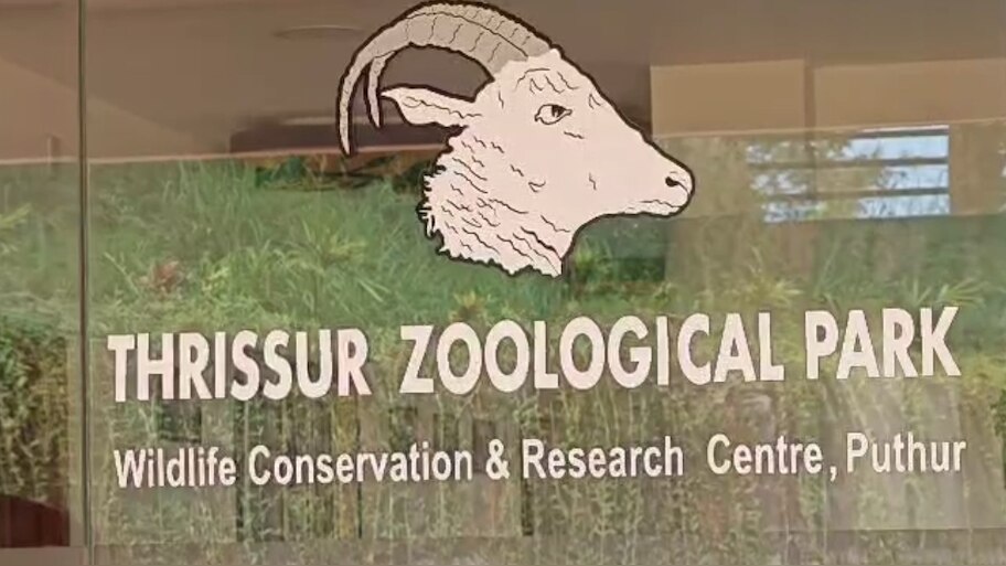 Zoological Park: തെരുവുനായ ആക്രമണത്തിൽ 10 മാനുകൾ ചത്തു; സംഭവം തൃശൂർ പുത്തൂർ സുവോളജിക്കൽ പാർക്കിൽ