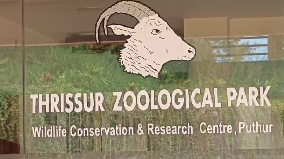 Zoological Park: തെരുവുനായ ആക്രമണത്തിൽ 10 മാനുകൾ ചത്തു; സംഭവം തൃശൂർ പുത്തൂർ സുവോളജിക്കൽ പാർക്കിൽ Zoological Park: തെരുവുനായ ആക്രമണത്തിൽ 10 മാനുകൾ ചത്തു; സംഭവം തൃശൂർ പുത്തൂർ സുവോളജിക്കൽ പാർക്കിൽ