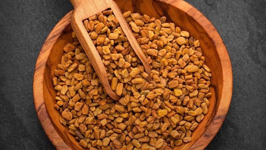 Fenugreek Seed:  കുതിർത്ത ഉലുവ കഴിക്കുന്നതിൻ്റെ ഗുണങ്ങൾ അറിയാമോ? വിചാരിക്കുന്നതുപോലെ അല്ല