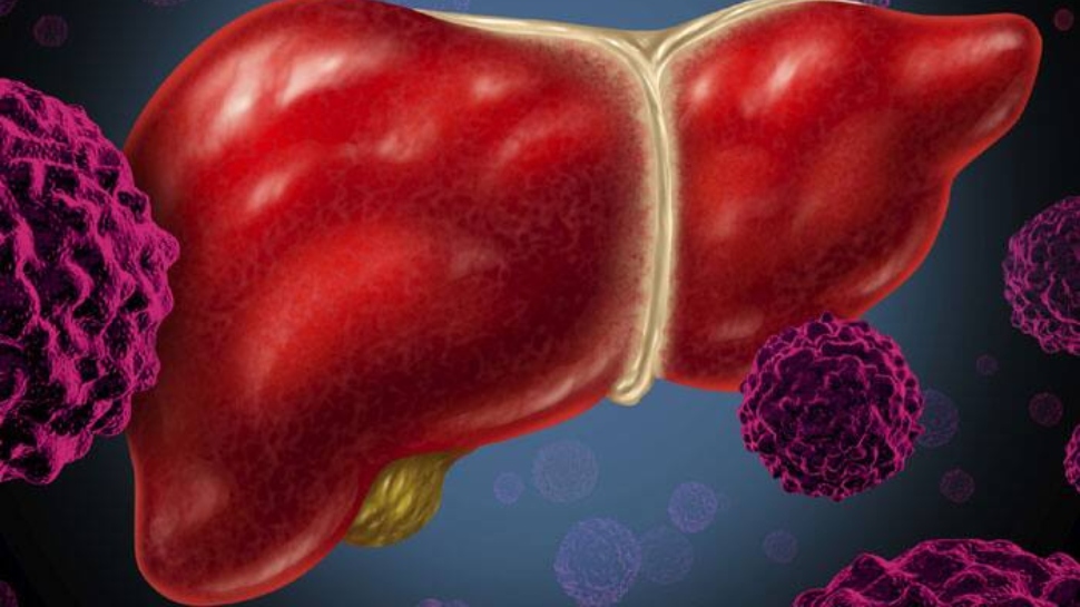 Liver Health: ശരീരം നൽകുന്ന ഈ സൂചനകൾ അവഗണിക്കരുത്! കരളിന്റെ ആരോഗ്യം അപകടത്തിലാകുന്നതിന്റെ ലക്ഷണങ്ങൾ Liver Health: ശരീരം നൽകുന്ന ഈ സൂചനകൾ അവഗണിക്കരുത്! കരളിന്റെ ആരോഗ്യം അപകടത്തിലാകുന്നതിന്റെ ലക്ഷണങ്ങൾ