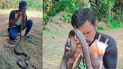 വൈദ്യുതാഘാതമേറ്റ പാമ്പിന് സിപിആർ നൽകി രക്ഷിച്ച് യുവാവ്