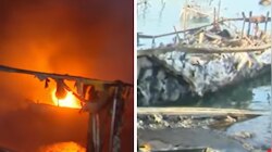 Kollam Boat Fire: കൊല്ലത്ത് ബോട്ടുകൾക്ക് തീപിടിച്ച സംഭവം; സിറ്റി എസിപി അന്വേഷിക്കും