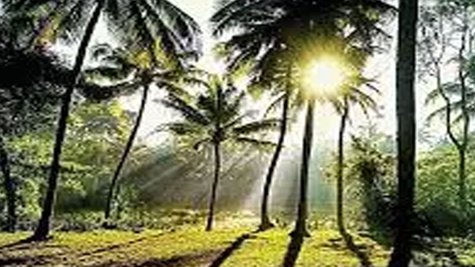 Kerala Weather Report: സംസ്ഥാനത്ത് മഴയ്ക്ക് പൂർണ്ണ ശമനം; മലയോര ജില്ലകളിൽ തണുപ്പ് തുടരുന്നു Kerala Weather Report: സംസ്ഥാനത്ത് മഴയ്ക്ക് പൂർണ്ണ ശമനം; മലയോര ജില്ലകളിൽ തണുപ്പ് തുടരുന്നു