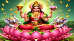 Astro Tips: പുതുവർഷത്തിലെ എല്ലാ സായാഹ്നത്തിലും ഇവ ചെയ്തോളൂ... ലക്ഷ്മി ദേവിയുടെ അനുഗ്രഹം ഉറപ്പ്!
