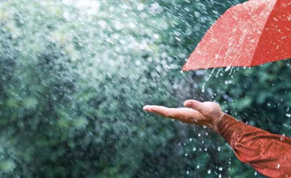 Kerala Rain Alert: ബംഗാൾ ഉൾക്കടലിൽ അതിതീവ്ര ന്യൂനമർദ്ദം; കേരളത്തിൽ വീണ്ടും മഴയ്ക്ക് സാധ്യത Kerala Rain Alert: ബംഗാൾ ഉൾക്കടലിൽ അതിതീവ്ര ന്യൂനമർദ്ദം; കേരളത്തിൽ വീണ്ടും മഴയ്ക്ക് സാധ്യത