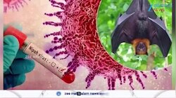  Japan To Begin First Nipah Virus Vaccine Trial 