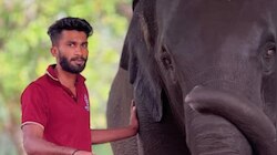 Elephant Attack: കുളിപ്പിക്കുന്നതിനിടെ ആന ആക്രമിച്ചു; കോട്ടൂരിൽ പാപ്പാന് ദാരുണാന്ത്യം