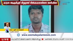 Elephant Attack: ആറളം ഫാമിൽ കാട്ടാനയുടെ ആക്രമണം; യുവാവ് മരിച്ചു