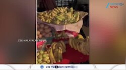 Rat Poison: പഴങ്ങളിൽ എലിവിഷം പുരട്ടുന്ന കച്ചവടക്കാർ!