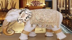 Elephant Statue Vastu Tips: കോടീശ്വരനാകണോ? ഈ വിഗ്രഹം വീട്ടിൽ വച്ചോളൂ..!