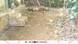 Pathanamthitta: കൊലപാതകം പത്തനംതിട്ട കോന്നിയിൽ ; പ്രതി നിയാസ് അറസ്റ്റിൽ