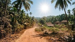 സംസ്ഥാനത്ത് കനത്ത ചൂട് തുടരുന്നു; 12 ജില്ലകളില്‍ യെല്ലോ അലർട്ട്