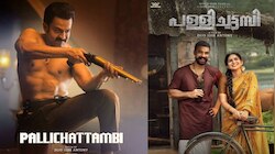 Pallichattambi Movie: ടോവിനോയുടെ ആക്ഷനും പൃഥ്വിരാജിന്റെ തകർപ്പൻ ഗസ്റ്റ് റോളും; പള്ളിച്ചട്ടമ്പി ബോക്സ് ഓഫീസിൽ കുതിക്കുന്നു