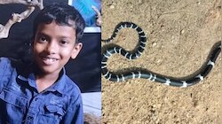 Thrissur News: പാമ്പുകടിയേറ്റ് മരിച്ച കുട്ടിയുടെ വീട്ടിൽ വീണ്ടും പാമ്പ്; കോടാലിയിൽ പരിഭ്രാന്തി