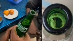 Dead Snake Found in Soda Bottle: ജീരകസോഡയിൽ ചത്ത പാമ്പ്; സോഡാ നിർമാണ യൂണിറ്റ് അടപ്പിച്ച് ആരോഗ്യ വകുപ്പ്