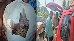 10 കിലോ കഞ്ചാവുമായി യുവാവ് പിടിയിൽ; സംഭവം നെയ്യാറ്റിൻകരയിൽ 