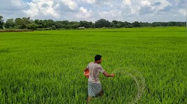 കർഷകരുടെ സബ്സിഡി യൂറിയ പ്ലൈവുഡ് വ്യവസായത്തിന് മറിച്ചുനൽകുന്നു; സീ മീഡിയ അന്വേഷണം