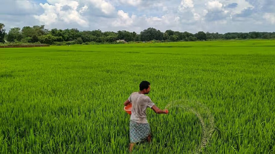 Operation Kisan 2.0: കർഷകരുടെ സബ്സിഡി യൂറിയ പ്ലൈവുഡ് വ്യവസായത്തിന് മറിച്ചുനൽകുന്നു..!