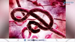 Ebola Outbreak Alert Kerala: വിമാനത്താവളങ്ങളിലും തുറമുഖങ്ങളിലും പരിശോധനകൾ ശക്തമാക്കി