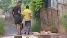 Kochi News: തെരുവുനായകളെ കെട്ടിവലിച്ച് കൊണ്ടുപോയി കൊലപ്പെടുത്തി; 2 പേർ അറസ്റ്റിൽ