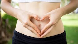 Gut Health in Monsoon: മഴക്കാലത്ത് പണിവാങ്ങല്ലേ..! കുടലിന്റെ ആരോഗ്യം കാക്കാൻ ഈ കാര്യങ്ങൾ ശ്രദ്ധിക്കൂ..