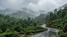 വയനാട്ടിൽ അതിതീവ്ര മഴ മുന്നറിയിപ്പ്; വിദ്യാഭ്യാസ സ്ഥാപനങ്ങൾക്ക് അവധി