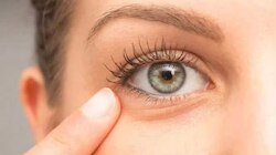 Warning Signs in Eyes: കണ്ണുകളിലെ ഈ മാറ്റങ്ങൾ അവ​ഗണിക്കരുതേ! ശരീരത്തിലെ ഒളിഞ്ഞിരിക്കുന്ന രോഗങ്ങളെ തിരിച്ചറിയാം...