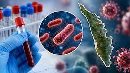 ഷിഗെല്ല ഭീതി ഉയരുന്നു; തൃശൂരും കണ്ണൂരും പുതിയ കേസുകൾ, ഈ മാസം അഞ്ച് മരണം