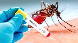 Dengue Outbreak In Kerala: സംസ്ഥാനത്ത് ഡെങ്കിപ്പനി പടരുന്നു; ആരോഗ്യ വകുപ്പ് അതീവ ജാഗ്രത പ്രഖ്യാപിച്ചു
