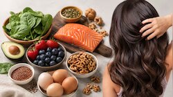 Food For hair Growth: മുടികൊഴിച്ചിൽ മാറി പുതിയ മുടി തഴച്ചുവളരും, ഈ അഞ്ച് ഭക്ഷണങ്ങൾ ശീലമാക്കൂ!