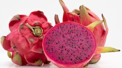 Dragon Fruit Benefits: ഡ്രാഗൺ ഫ്രൂട്ട് കഴിച്ചോളൂ... ചർമ്മഭംഗി മുതൽ ഹൃദയാരോഗ്യം വരെ ഗുണങ്ങൾ ഏറെ!