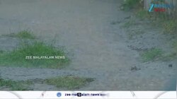 Kerala Rain News: ശക്തവും തീവ്രവുമായ മഴയ്ക്ക് സാധ്യത 14 ജില്ലകളിലും അലർട്ട് പ്രഖ്യാപിച്ചു