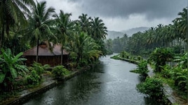 Kerala Rain Alert: 11 ജില്ലകളില്‍ യെല്ലോ അലർട്ട്; വയനാടും കോഴിക്കോടും വിദ്യാഭ്യാസ സ്ഥാപനങ്ങൾക്ക് അവധി