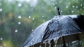 Kerala Weather Updates: സംസ്ഥാനത്ത് ഇന്നും ശക്തമായ മഴയ്ക്ക് ശമനം; വരുന്ന  ദിവസത്തേക്ക് പ്രത്യേക മുന്നറിയിപ്പില്ല