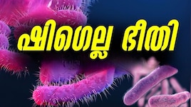 Shigella Outbreak: വയനാട്ടിൽ വീണ്ടും ഷിഗെല്ല റിപ്പോർട്ട് ചെയ്തു; 4 പേർക്ക് രോഗലക്ഷണങ്ങൾ
