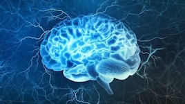 World Brain day 2026: തലച്ചോറിന്റെ ആരോഗ്യം സംരക്ഷിക്കാം; ലോക ബ്രെയിൻ ദിനത്തിൽ അറിഞ്ഞിരിക്കാം നാഡീരോഗങ്ങളും പ്രതിരോധ മാർഗ്ഗങ്ങളും...
