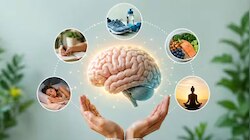 World Brain Day 2026: ഇന്ന് ലോക മസ്തിഷ്ക ദിനം; ഓർമ്മശക്തി കൂട്ടാനും തലച്ചോറിന്റെ ആരോഗ്യം സംരക്ഷിക്കാനും ഈ ശീലങ്ങൾ ബെസ്റ്റ്...