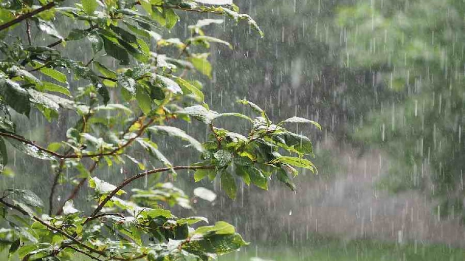 Kerala Rain Updates: സംസ്ഥാനത്ത് അതിശക്തമായ മഴ തുടരും; 5 ജില്ലകളിൽ ഓറഞ്ച് അലർട്ട്, ശക്തമായ കാറ്റിനും സാധ്യത