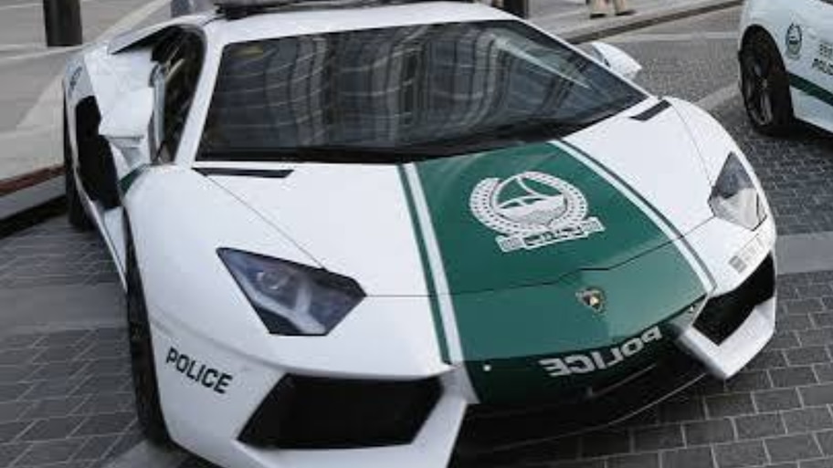 Dubai Police: 103 വ്യാജ സോഷ്യൽ മീഡിയ അക്കൗണ്ടുകൾ പൂട്ടിച യുഎഇയില്‍ കുറ്റകൃത്യങ്ങളില്‍ കുറവ്