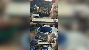 അടൂരിൽ പഴകിയ ഭക്ഷണം പിടികൂടി