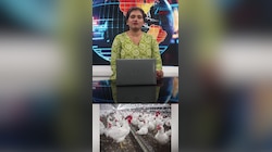 വീണ്ടും കുതിച്ച് ചിക്കൻ വില; മുട്ട വിലയും ഉയരുന്നു