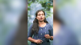 സംസ്ഥാനത്ത് കാലവർഷത്തിൽ മഴക്കുറവ്; പ്രതീക്ഷ തുലാമഴയിൽ