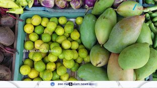 റോക്കറ്റ് വേഗത്തിൽ കുതിപ്പ്; ചെറുനാരങ്ങയ്ക്ക് പൊന്നുംവില