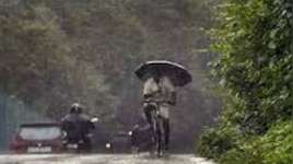 Kerala Rain Updates: കേരളത്തിൽ വീണ്ടും മഴ കനക്കുന്നു 4 ജില്ലകളിൽ യെല്ലോ അലർട്ട്, ശക്തമായ കടലാക്രമണത്തിന് സാധ്യത