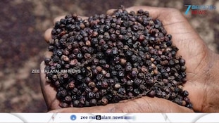 എന്റമ്മോ... കുരുമുളകിന് പൊന്നുംവില