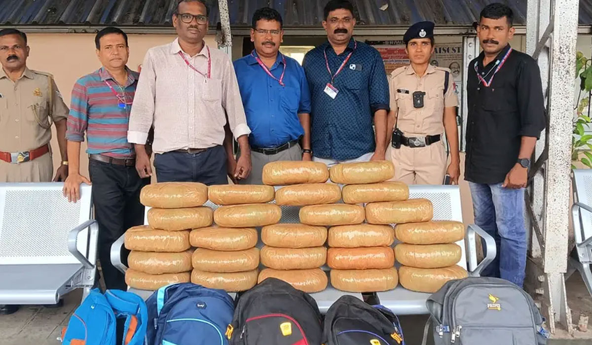 പാലക്കാട് റെയിൽവേ സ്റ്റേഷനിൽ 51 കിലോ കഞ്ചാവ് പിടികൂടി