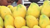 Benefits of Mango : അറിയാമോ മാമ്പഴം കഴിച്ചാൽ ഗുണങ്ങൾ ഏറെയാണ്